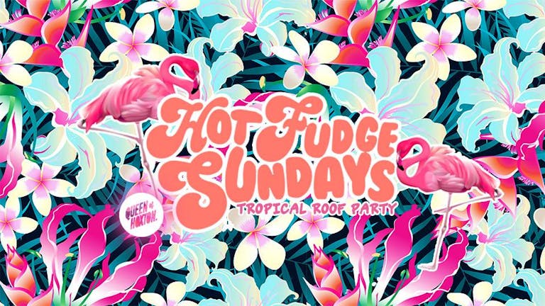 Hot Fudge Sundays - Tropical Roof Party