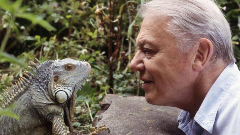 David Attenborough Appreciation Society