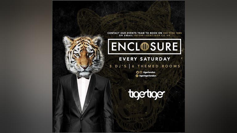 PAY WEEK PARTY - Tiger Saturday | Pre-Paid Tickets
