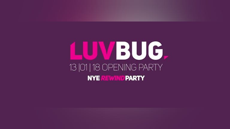 Luvbug Saturdays Term 2 Opening Party 13.01.18