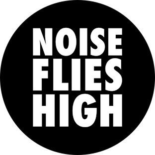 Noise Flies High