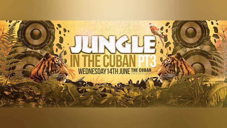 JUNGLE IN THE CUBAN PT3