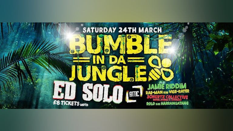 Bumble in Da Jungle: Ed Solo