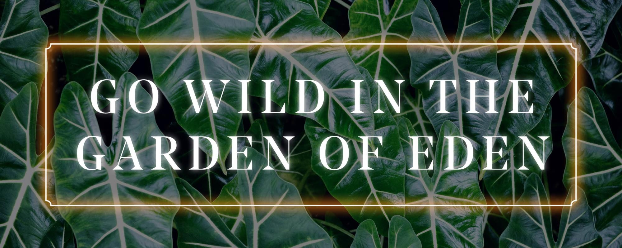 Go Wild In The Garden Of Eden // Every Friday at Eden Manchester!