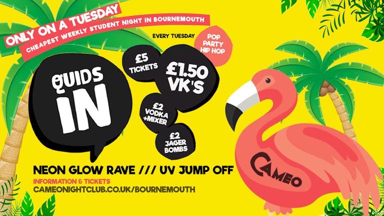 Quids In // 05.11 // Cameo Every Tuesday