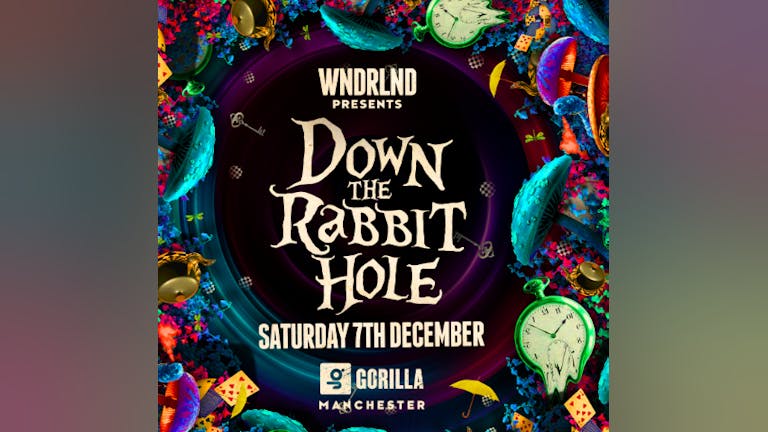 WNDRLND: Down The Rabbit Hole