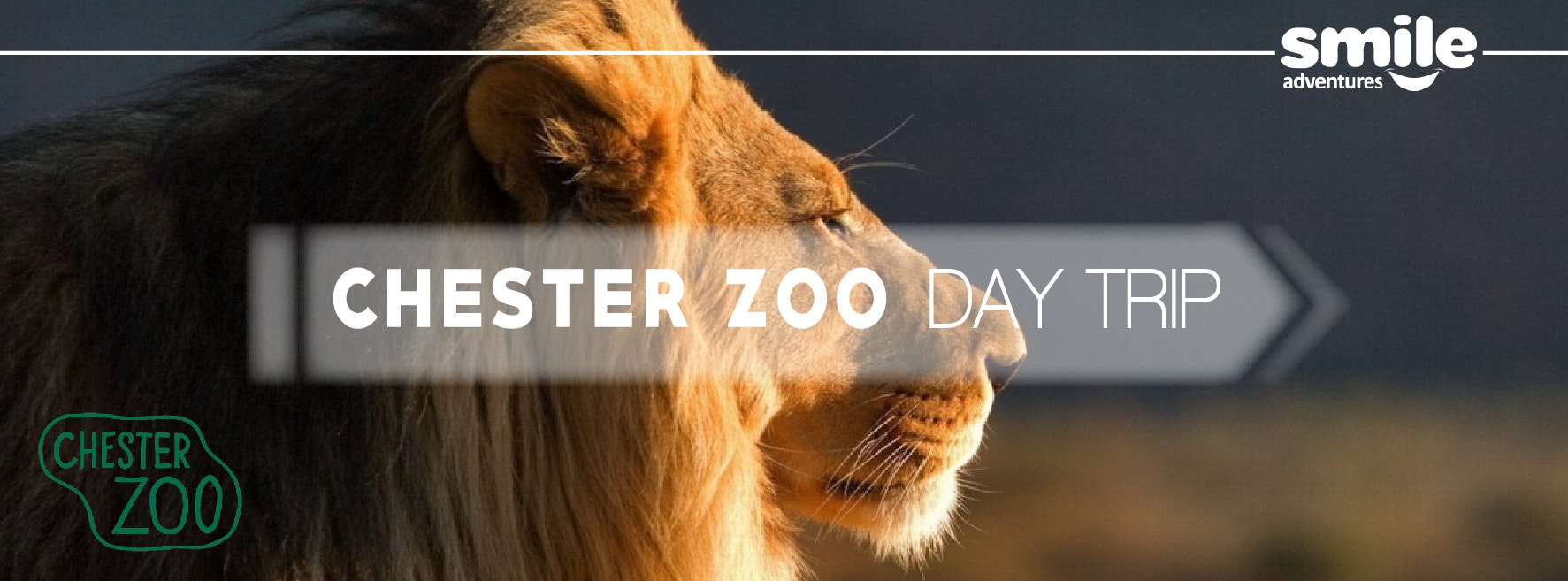 Chester Zoo Day Trip – From Manchester