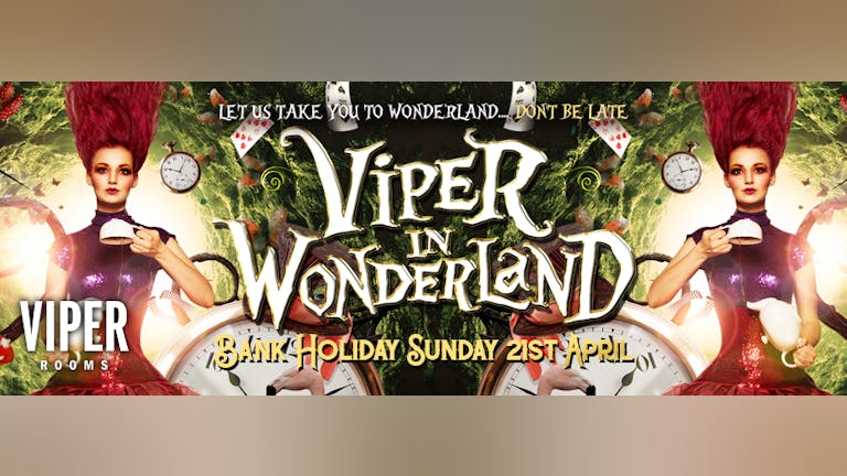 Viper In Wonderland