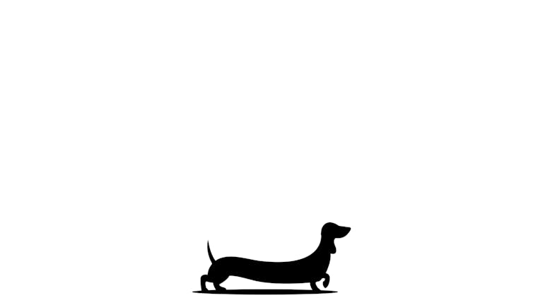Dachshund Pop Up Cafe - Plymouth