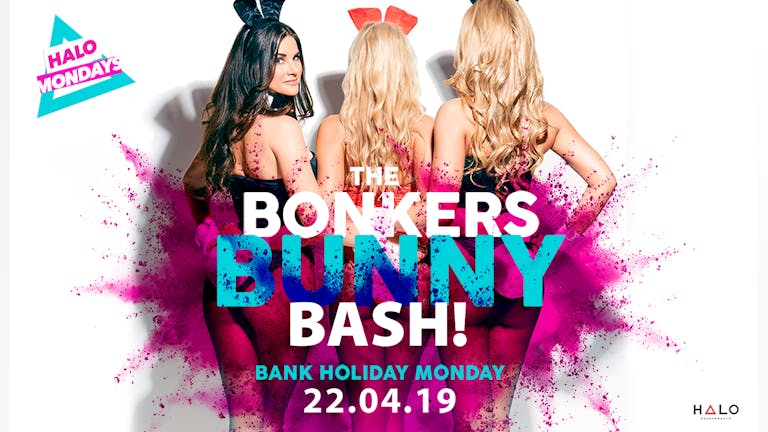 The Bonkers Bunny Bash 22.04.19 Halo Mondays 