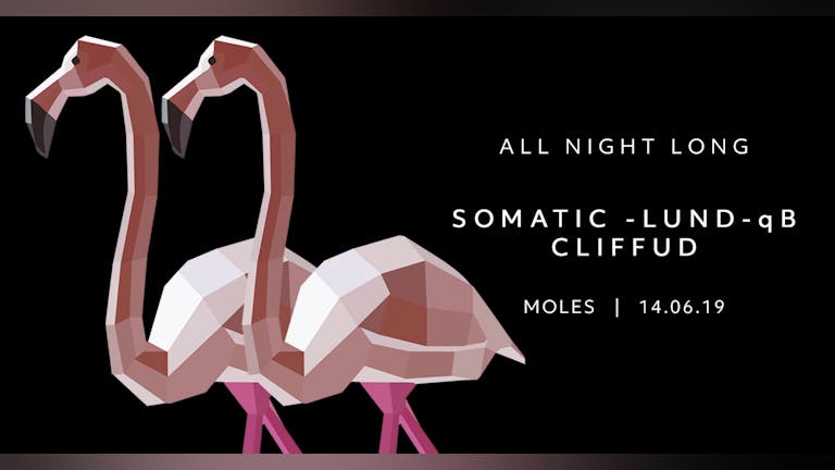 All Night Long: Somatic, Lund, qB, Cliffud
