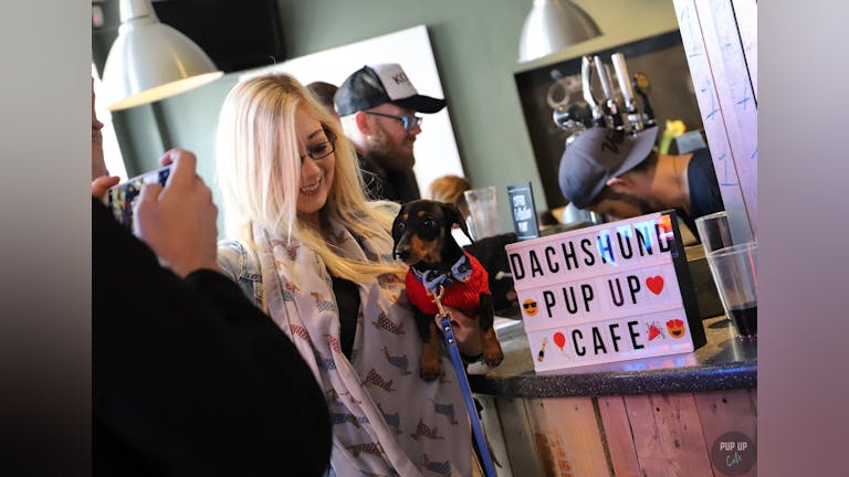 Dachshund Pop Up Cafe - Bournemouth