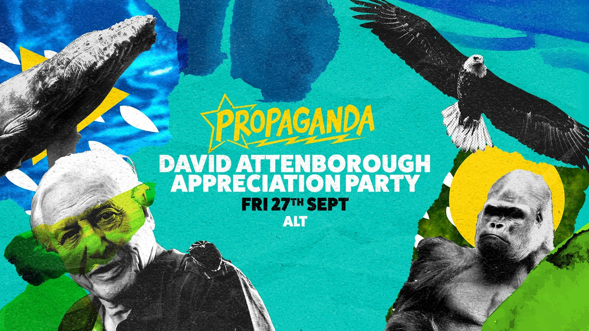 Propaganda Bournemouth – David Attenborough Appreciation Party!
