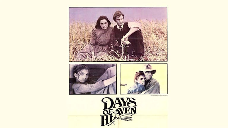 Days Of Heaven - Screening