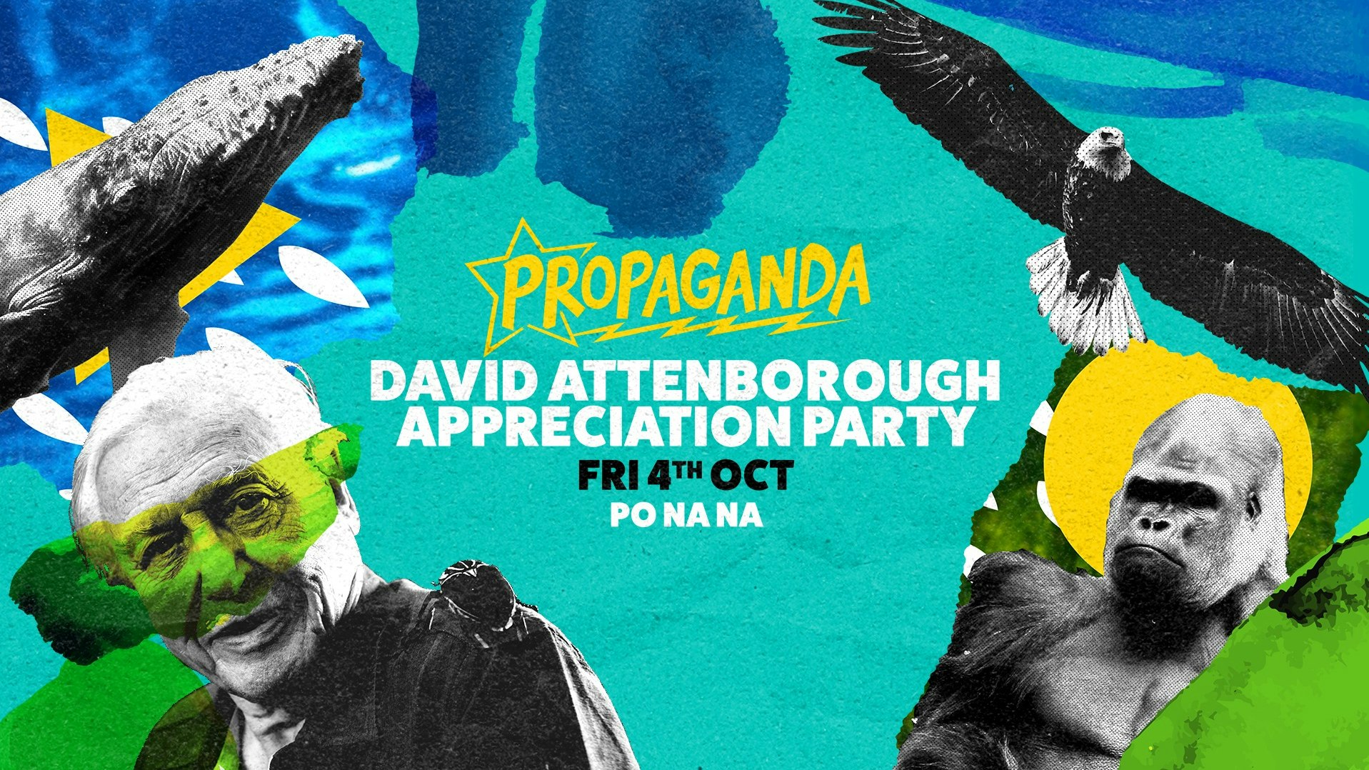 Propaganda Bath – David Attenborough Appreciation Party!