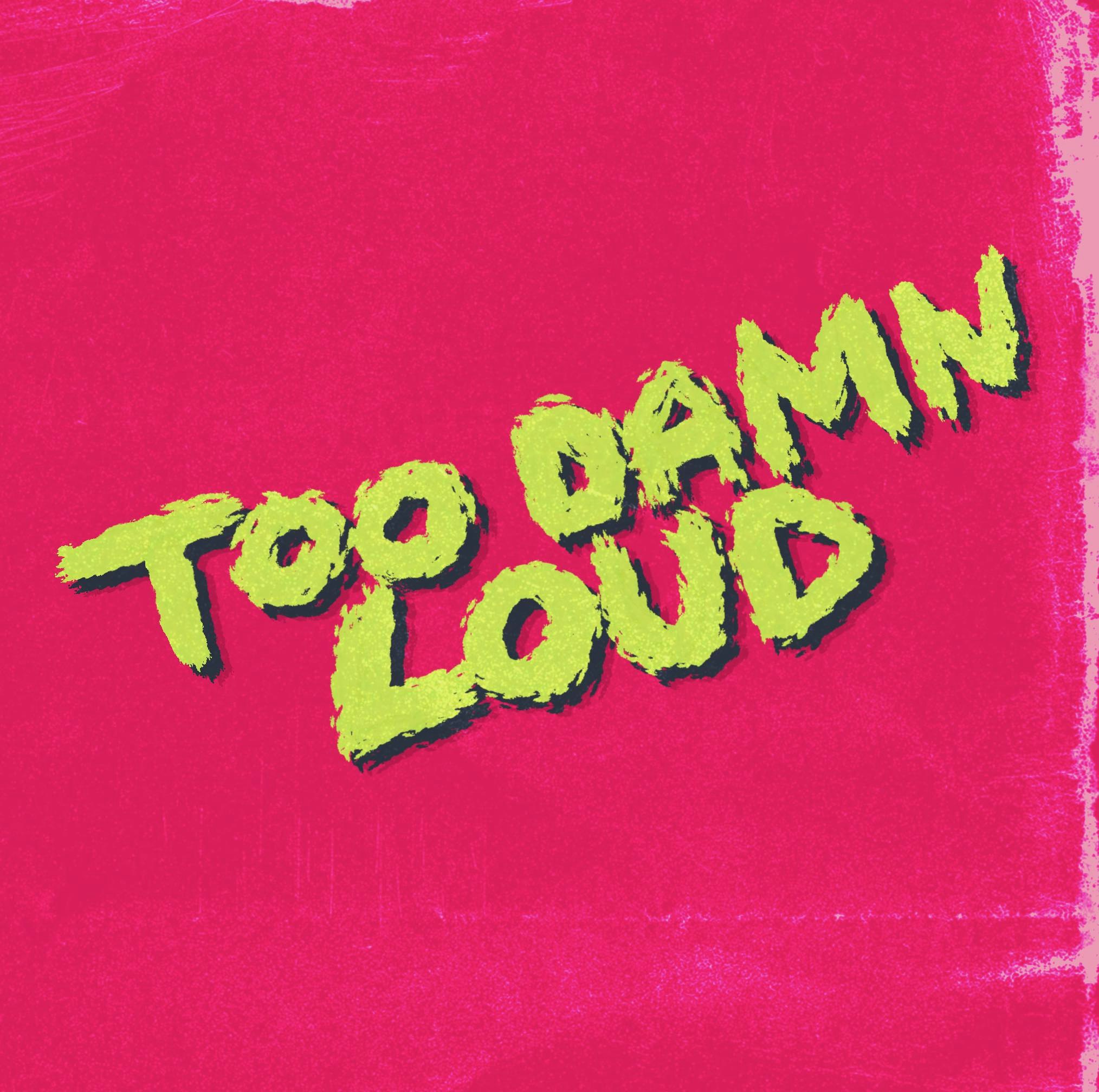 Too Damn Loud Festival 27th April
