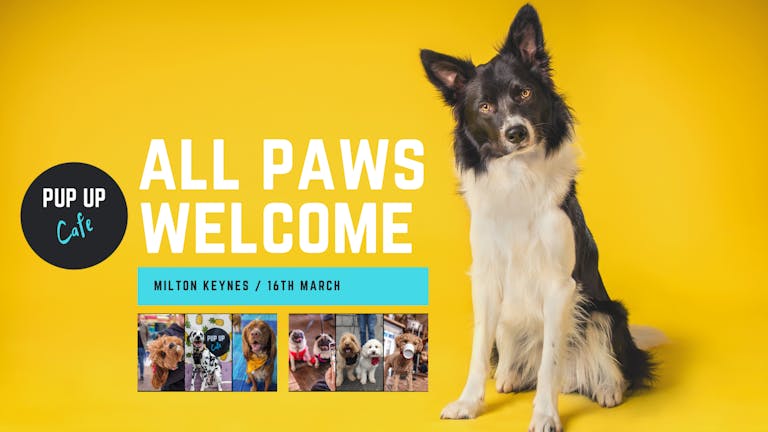 All Paws Pup Up Cafe: Milton Keynes