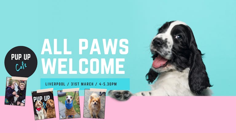 All Paws Pup Up Cafe: Liverpool