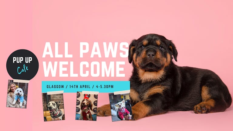 All Paws Pup Up Cafe: Glasgow