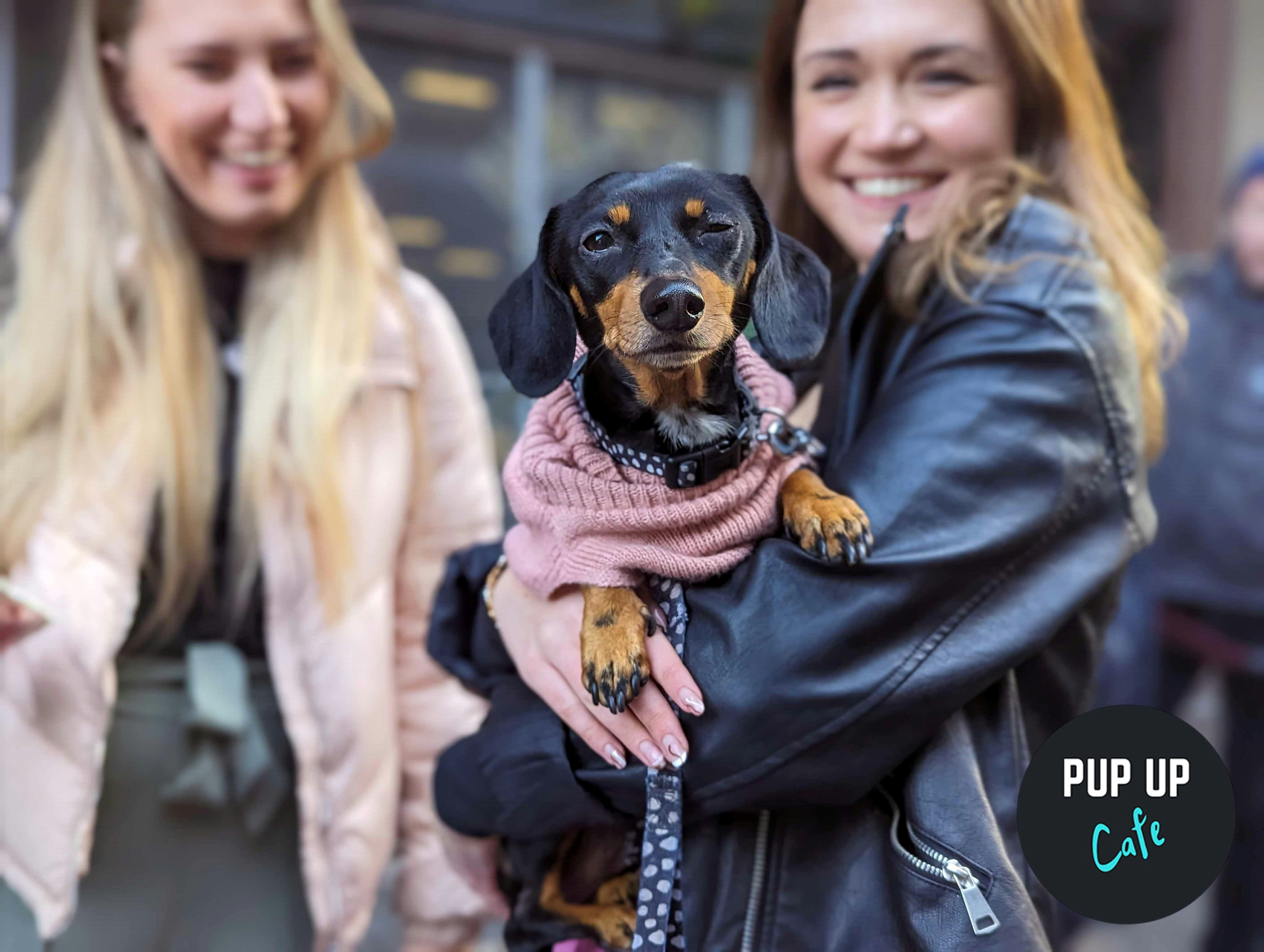 Dachshund Pup Up Cafe – Glasgow