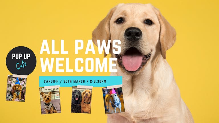 All Paws Pup Up Cafe: Cardiff