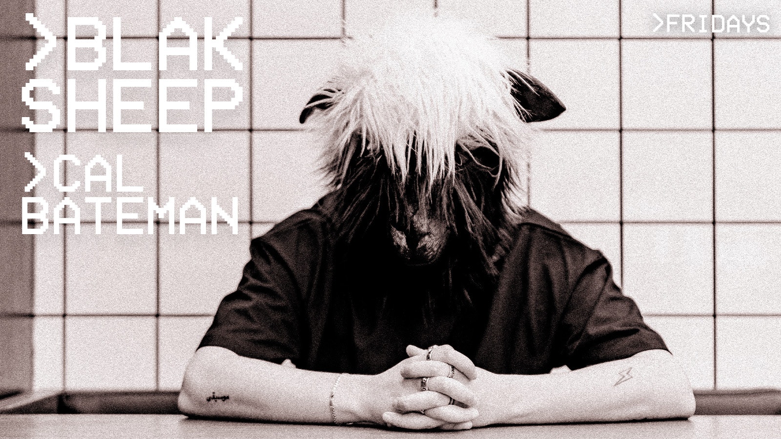 Blak Sheep – 15th Nov