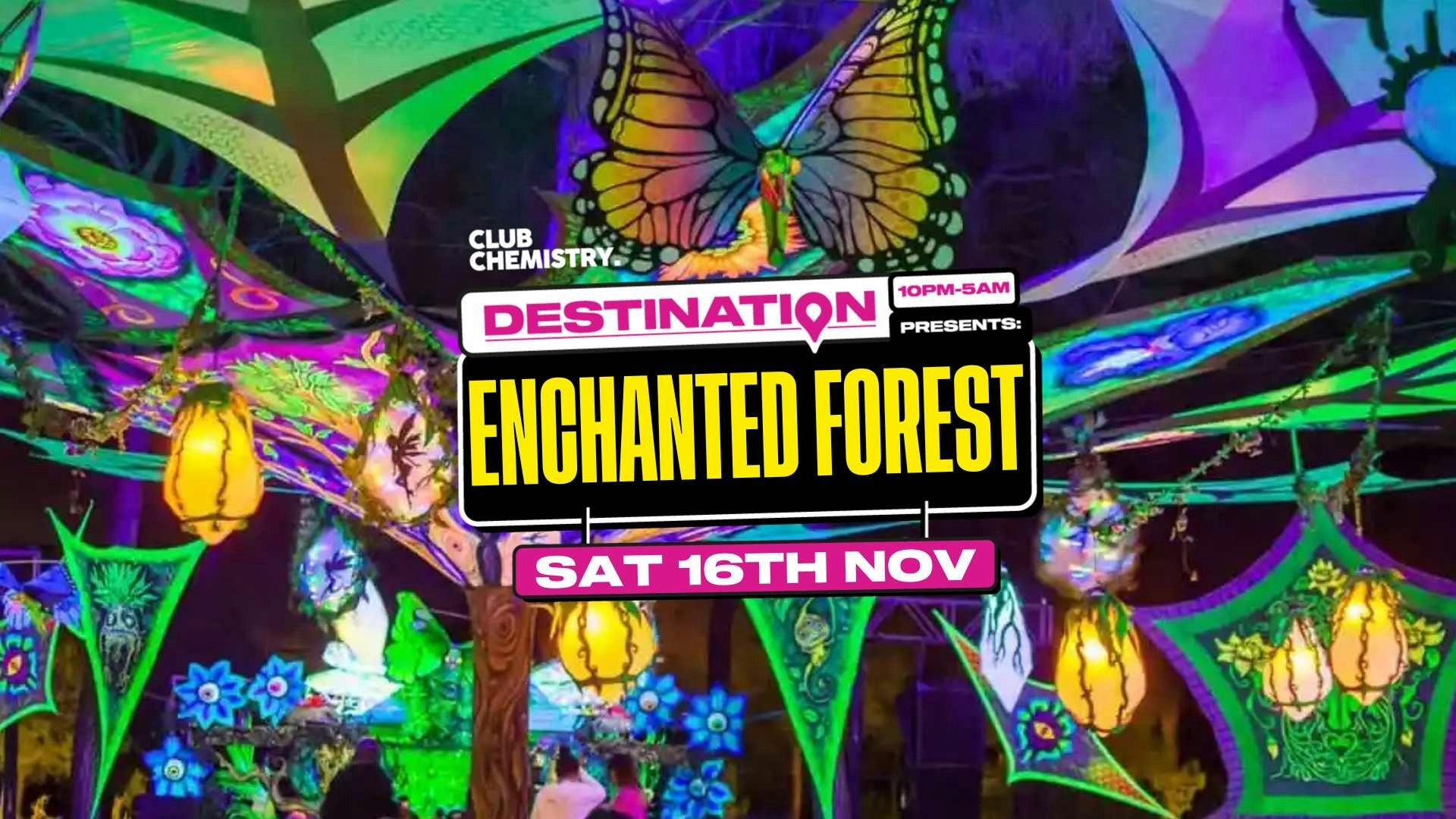 🌲 Destination: Enchanted Forest | Canterbury🌲 * 25 £5 Tickets left*