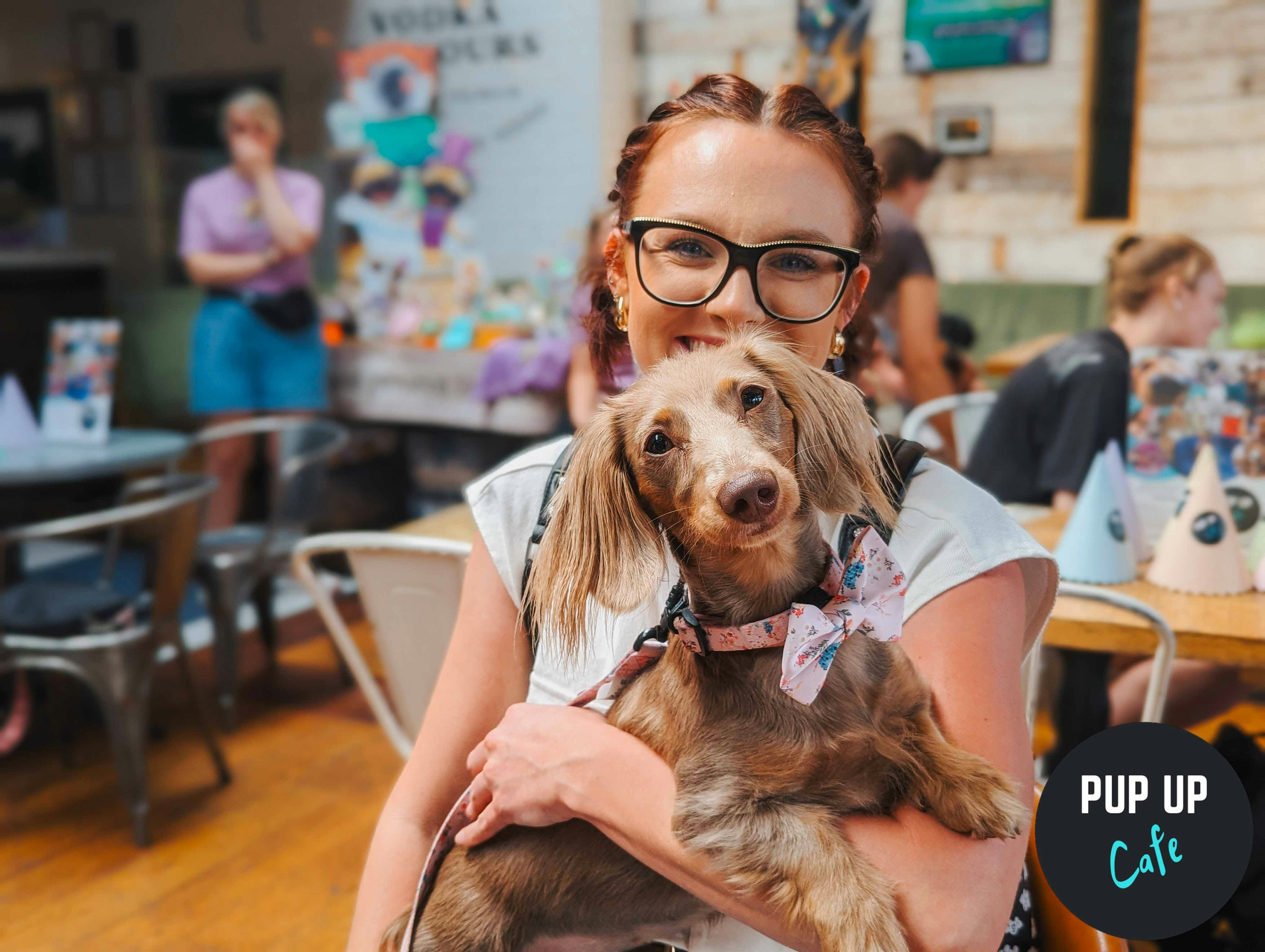 Dachshund Pup Up Cafe – Exeter