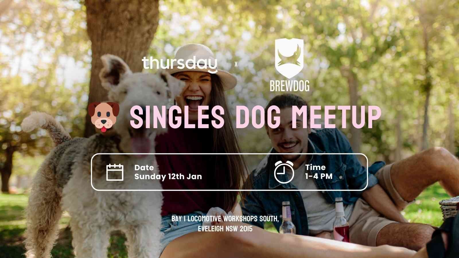Sunday | 🐶 Singles Dog Meetup | Redfern