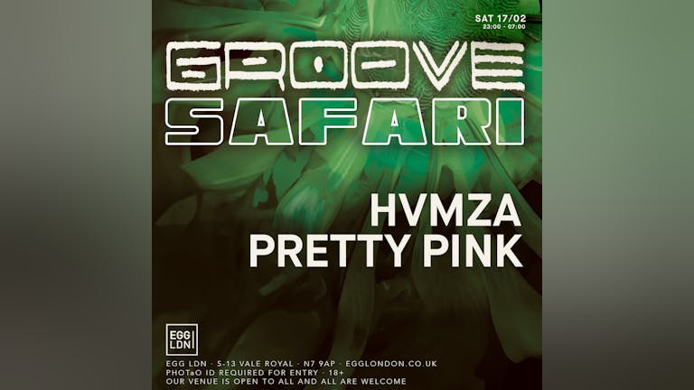Groove Safari: Pretty Pink & Hvmza