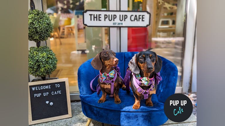  Dachshund Pup Up Cafe - Edinburgh