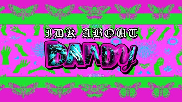 IDK ABOUT DANDY : An Unofficial Fever Ray Afterparty