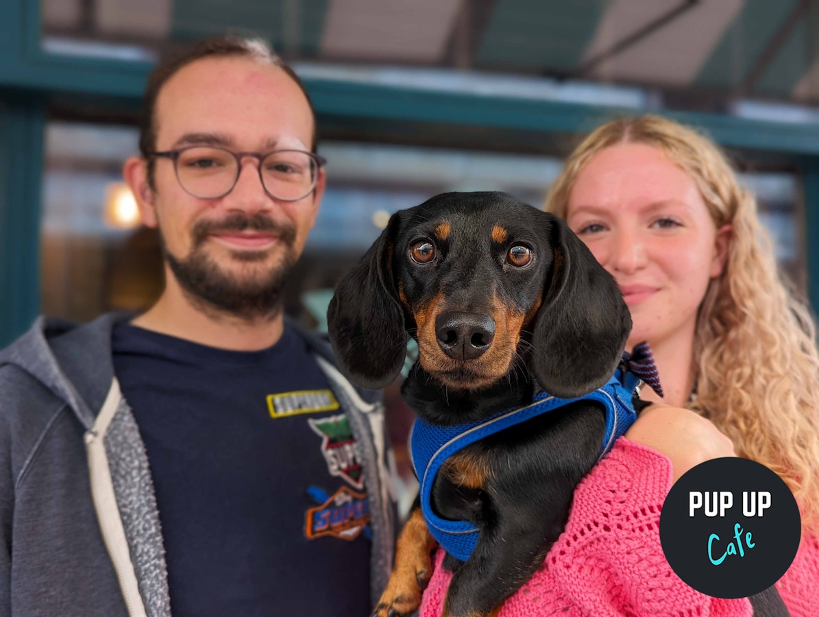 Dachshund Pup Up Cafe – Bristol