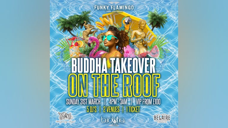 BUDDHA TAKES OVER- FUNKY FLAMINGO ROOF TERRACE PARTY