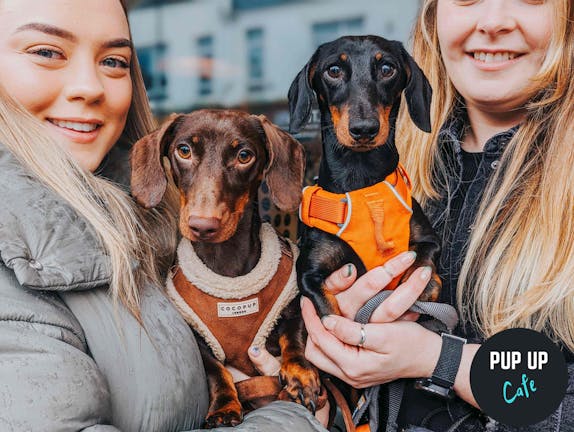  Dachshund Pup Up Cafe - Southend