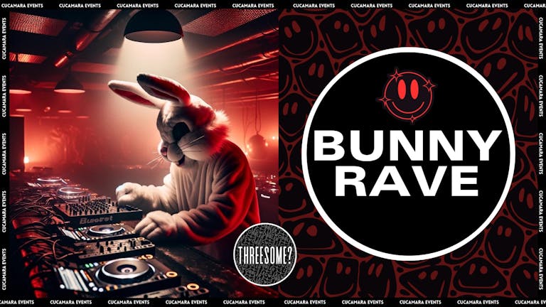 🐰🎉 Bunny Rave 🐰🎉 - JCXNDY