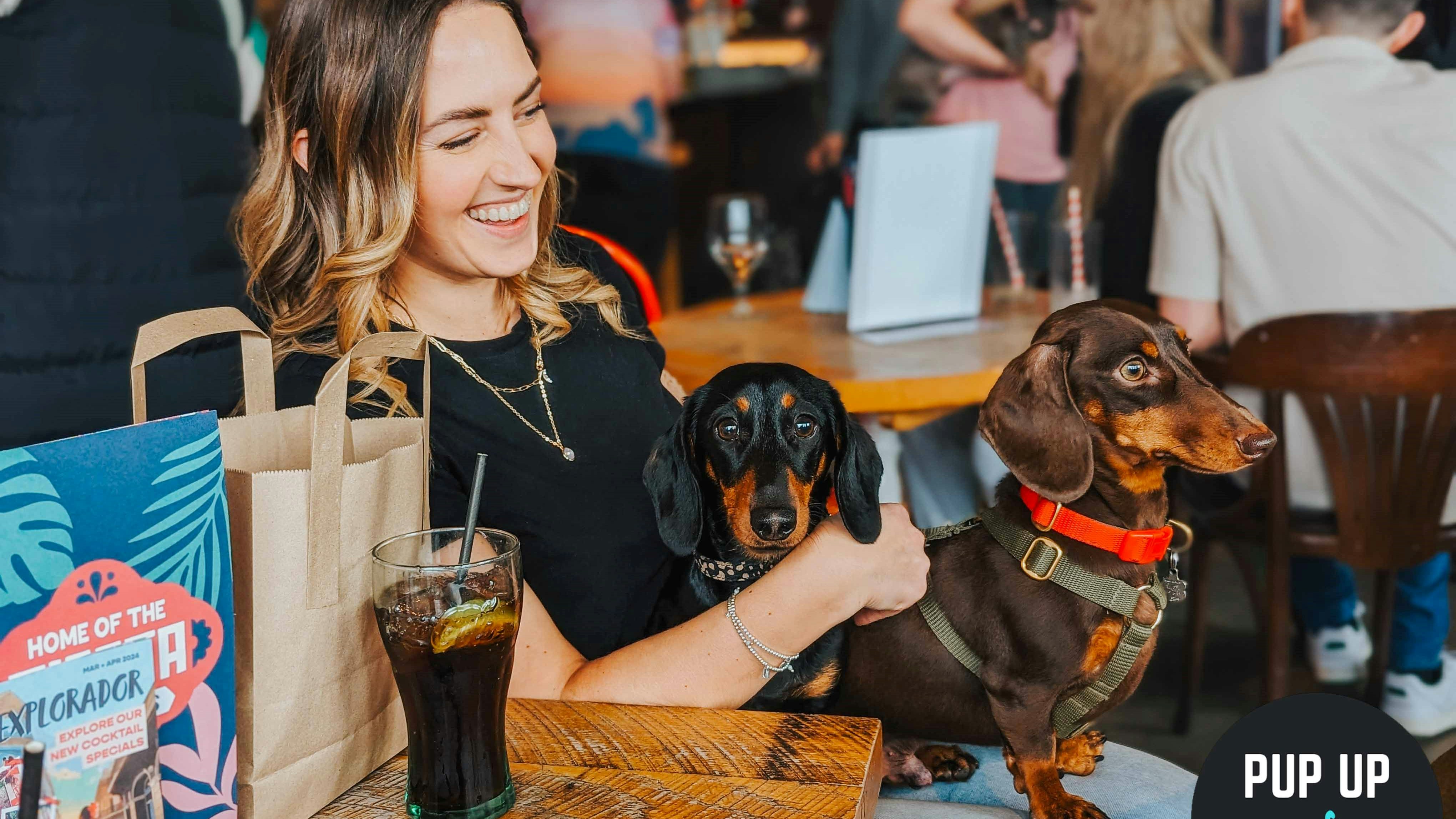 Dachshund Pup Up Cafe – Northampton