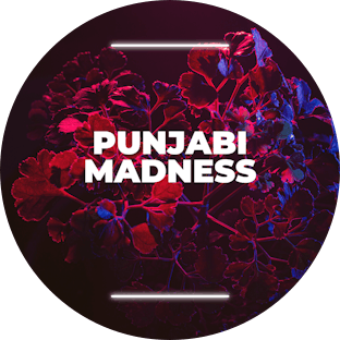Punjabi Madness