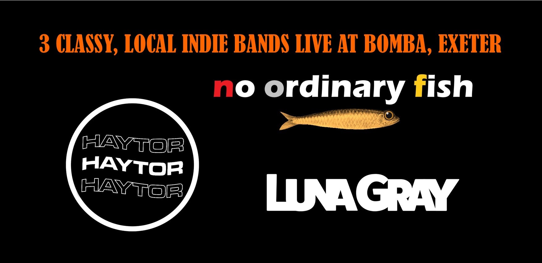 NO ORDINARY FISH – LUNA GRAY – HAYTOR – LIVE INDIE BANDS – BOMBA – EXETER