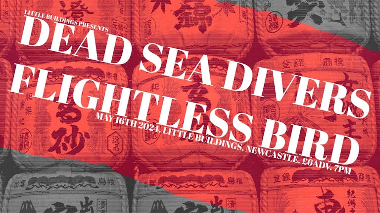 Dead Sea Divers / Flightless Bird