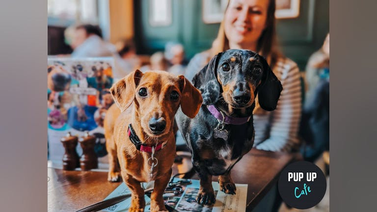  Dachshund Pup Up Cafe - Leicester 