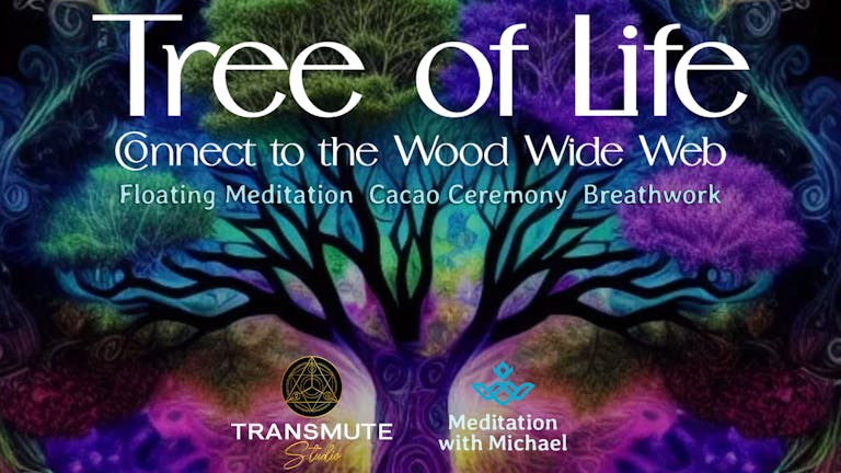 Tree of Life - Connect to the Wood Wide Web (Floating Meditation Journey with Michael)