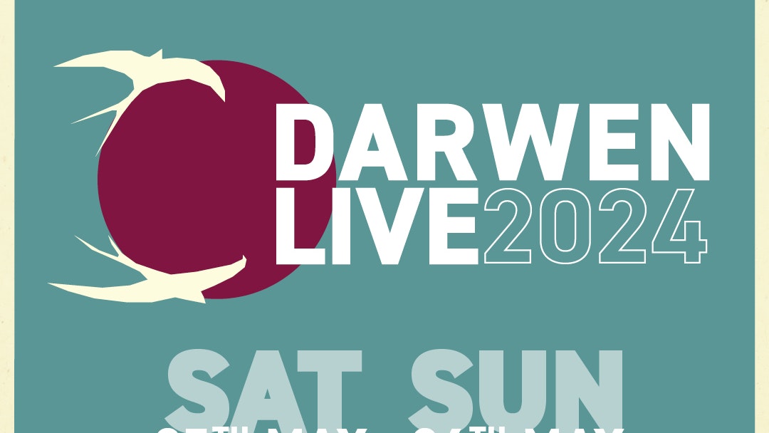 Darwen Live 2024 at Sunbird Records Day One