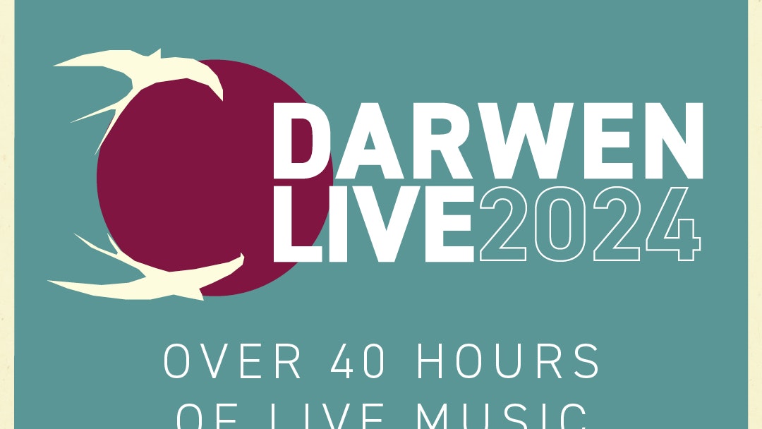 Darwen Live 2024 at Sunbird Records Day Two