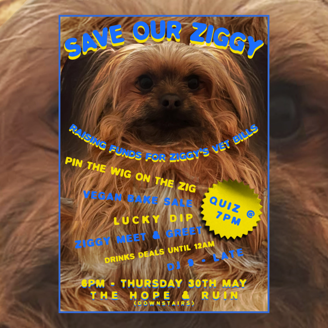 Save Our Ziggy! Quiz Time, Vegan Bake Sale, Games + More!