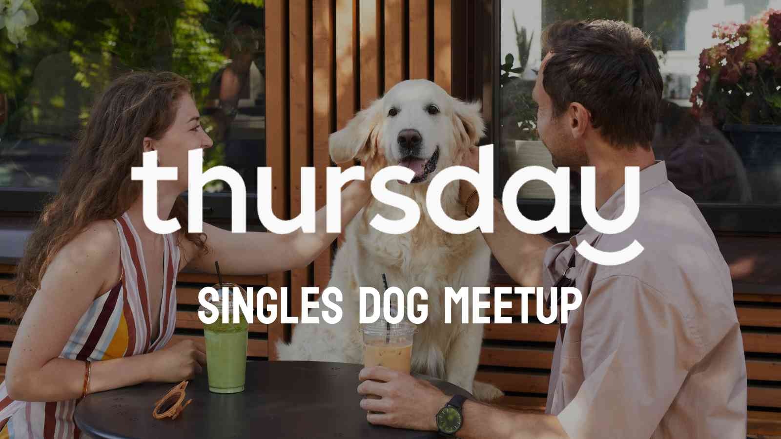 Sunday | Dog Meetup | Redfern