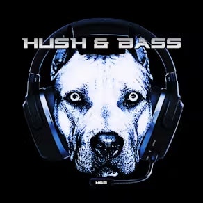 Hush&Bass and Dub Defenders Presents Nicky Blackmarket