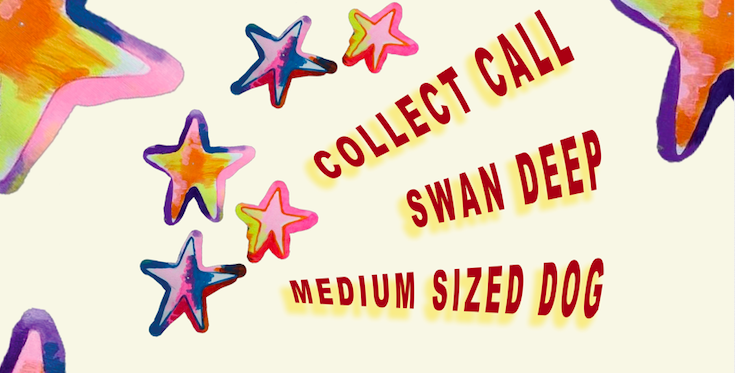 H&R One’s 2 Watch: Collect Call + Swan Deep + Medium Sized Dog