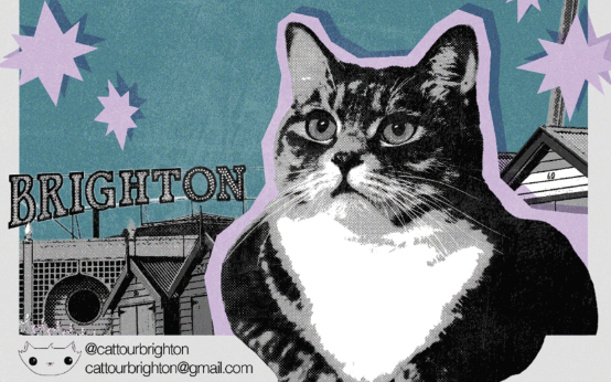 Cat Tour – Purrrrb Quiz