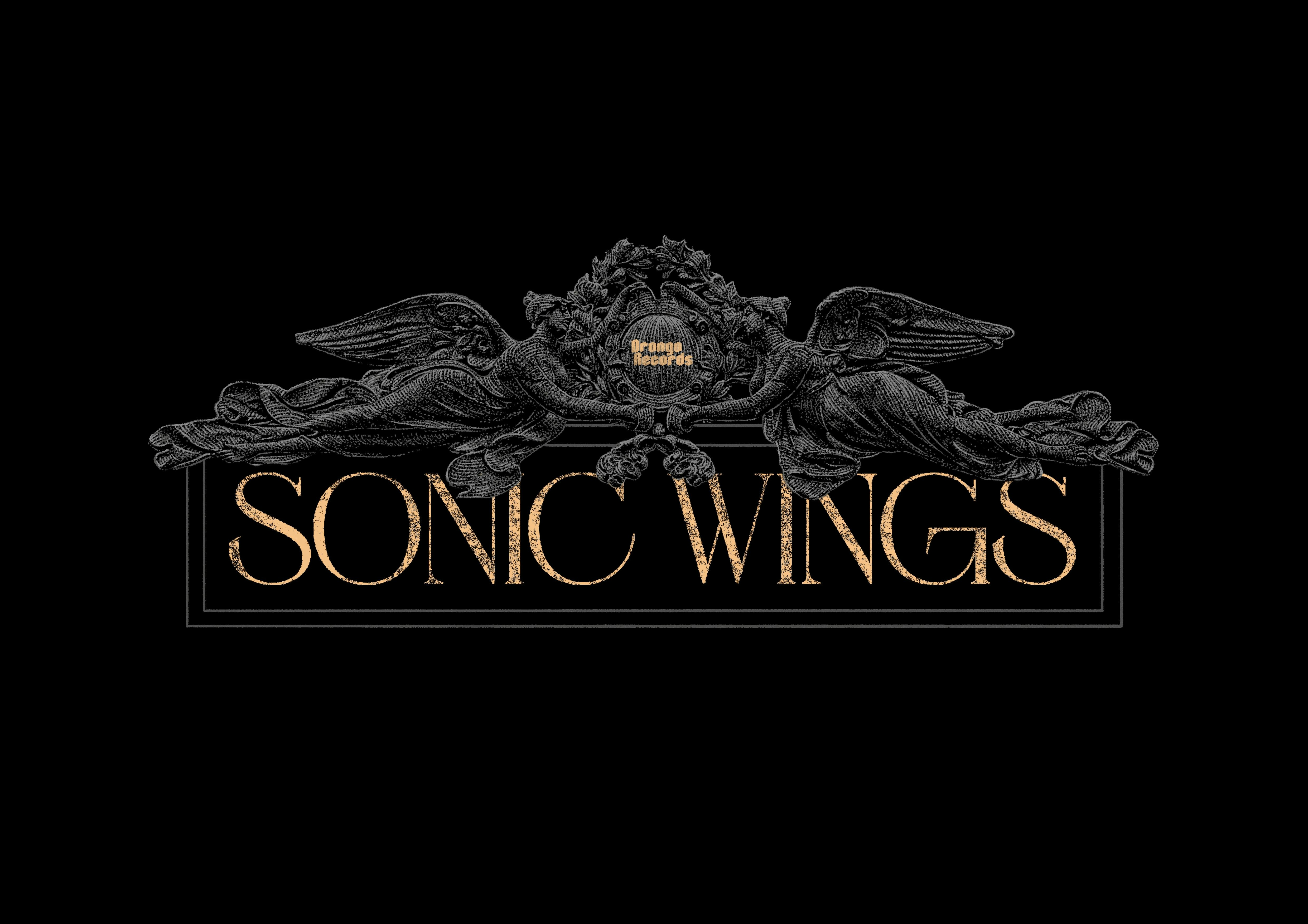 Sonic Wings Festival 2026